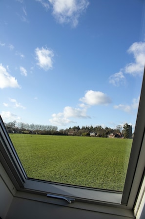 Vista desde la habitación