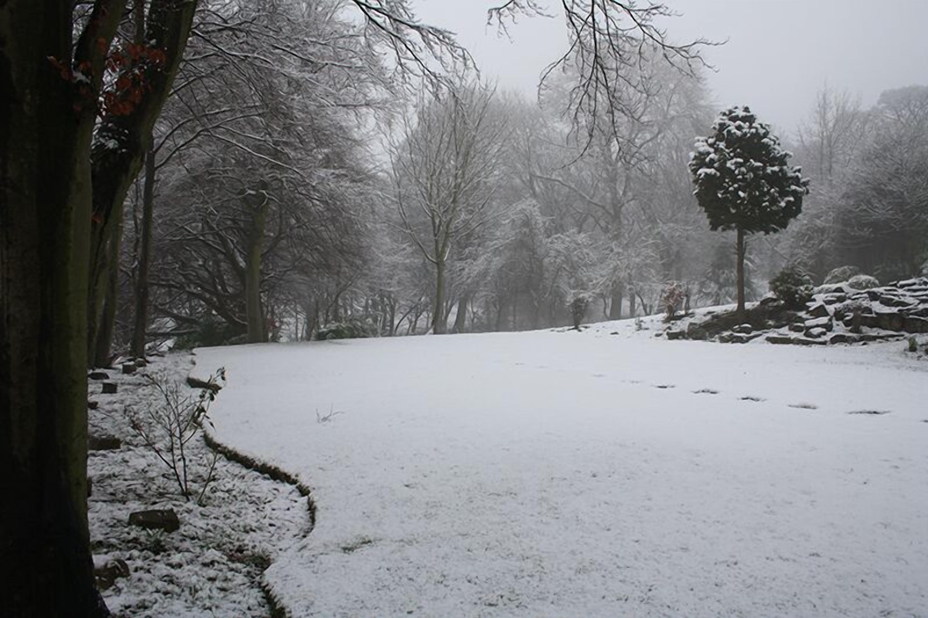 Photo - Gomersal Lodge Hotel