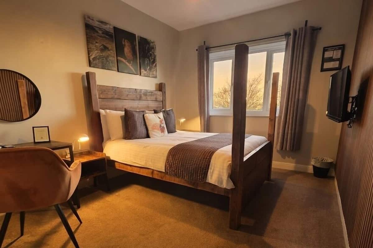 Un dormitorio con una cama, una silla, una mesita de noche, una lámpara, una ventana y un televisor instalado en la pared.