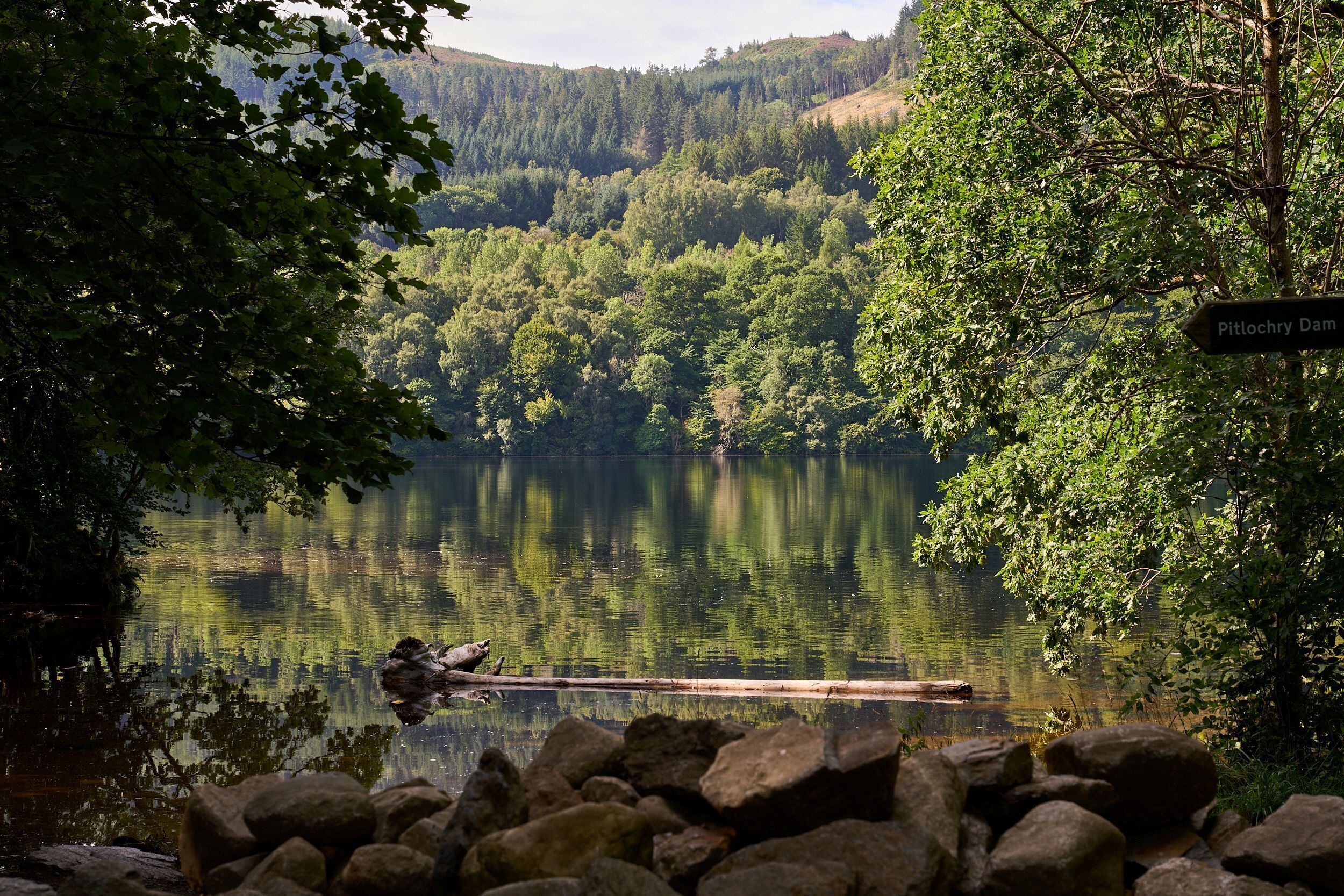 A tranquil lake with a dock, surrounded by dense forest and hills.
