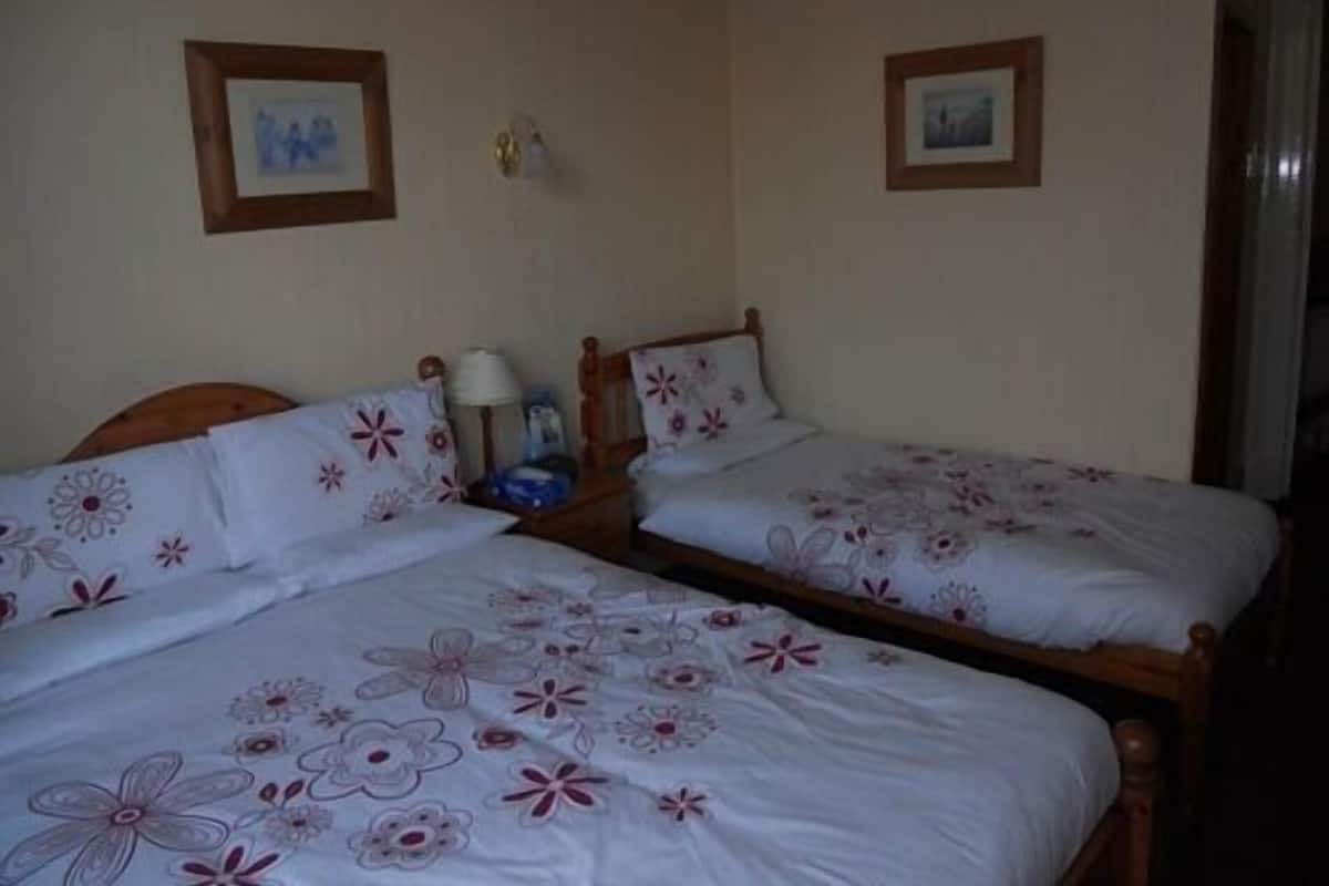 Twin Room, Shared Bathroom | Iron/ironing board, free WiFi