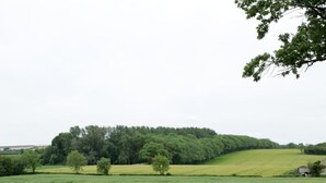 A rural landscape with a field, a small house, and a forest in the background. - OYO 4 Sisters Inn (Lincoln)