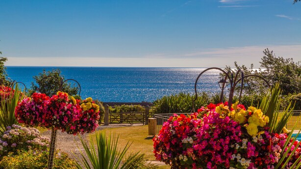 Vista costera con un portón de madera que da a un jardín con flores coloridas y un cielo azul despejado.
