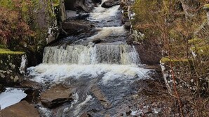 Una cascada fluye sobre rocas en un área boscosa.