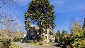A two-story house with a large tree in front, surrounded by a well-maintained lawn and various shrubs.