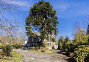 A two-story house with a large tree in front, surrounded by a well-maintained lawn and various shrubs.
