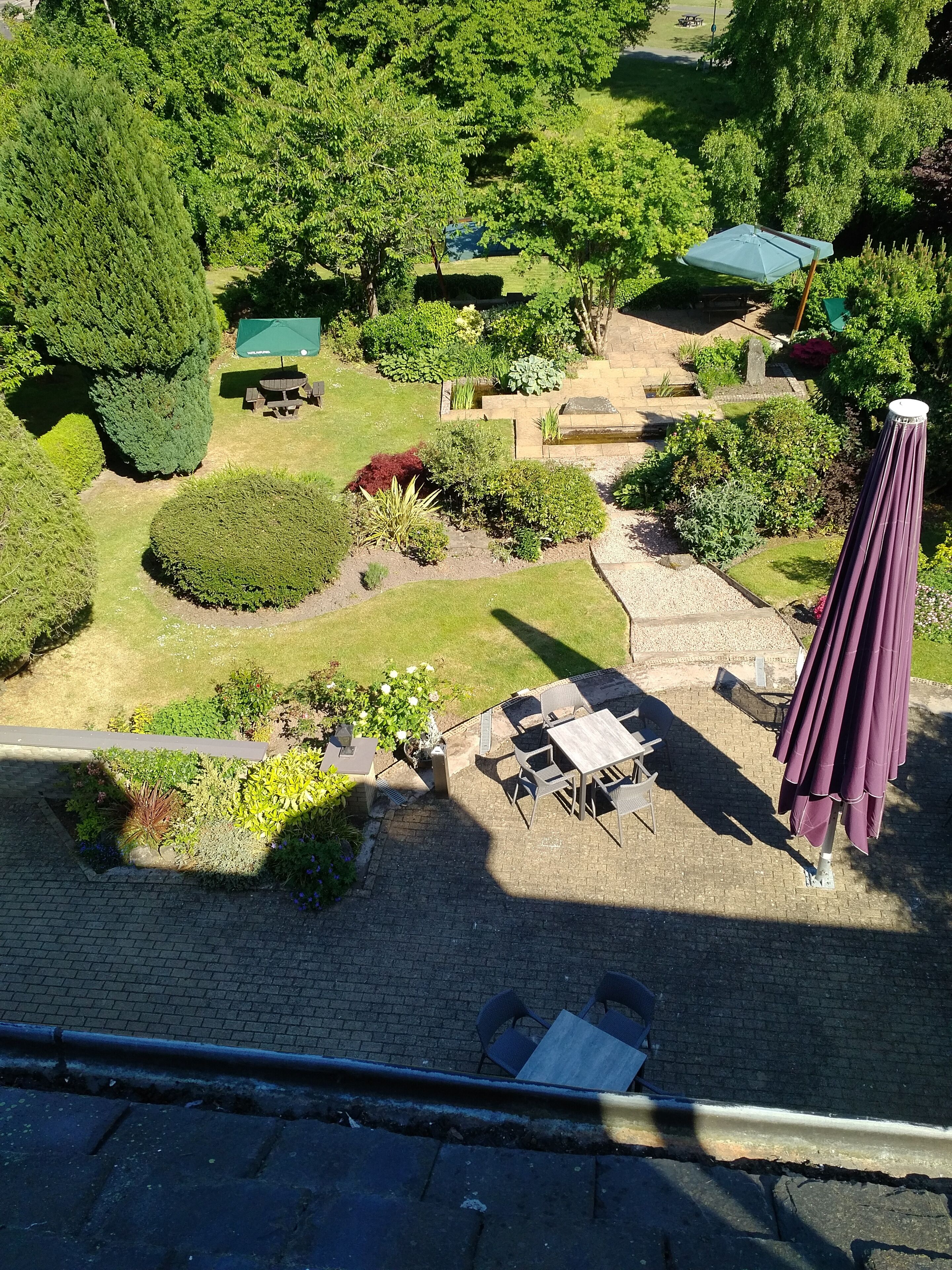A garden patio area with a table and chairs, surrounded by various plants and trees.