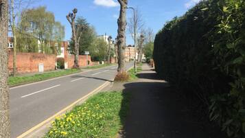 A quiet residential street with a sidewalk, a hedge, and a row of houses.