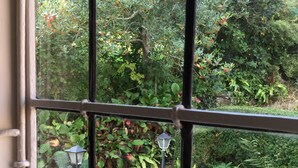 A view through a window with a metal grid, featuring a stone staircase, lush greenery, and a small lamp post. - Castle of Comfort Hotel & Restaurant (Bridgwater)