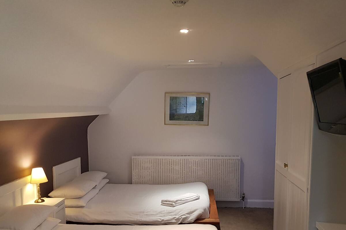 Een hotelkamer met twee bedden, een radiator, een televisie en een ingelijste foto aan de muur.