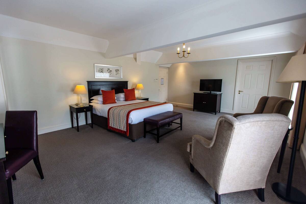 Une chambre d’hôtel comprenant un lit, des tables de chevet, une chaise, un bureau, une télévision et une porte.