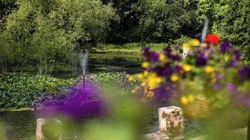 A serene pond with a fountain, surrounded by lush greenery and vibrant flowers.