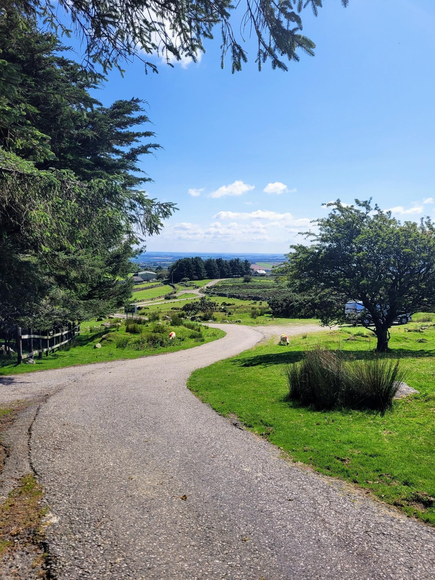 Ländliche Landschaft mit einer kurvigen Schotterstraße, grünen Feldern und einem baumgesäumten Weg.