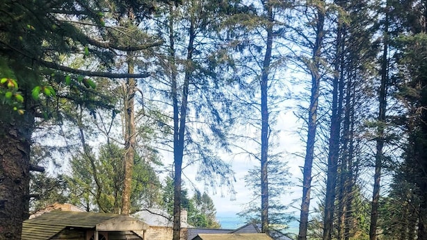 Un chalet rustique avec une allée en gravier, entouré de grands arbres et sous un ciel dégagé.