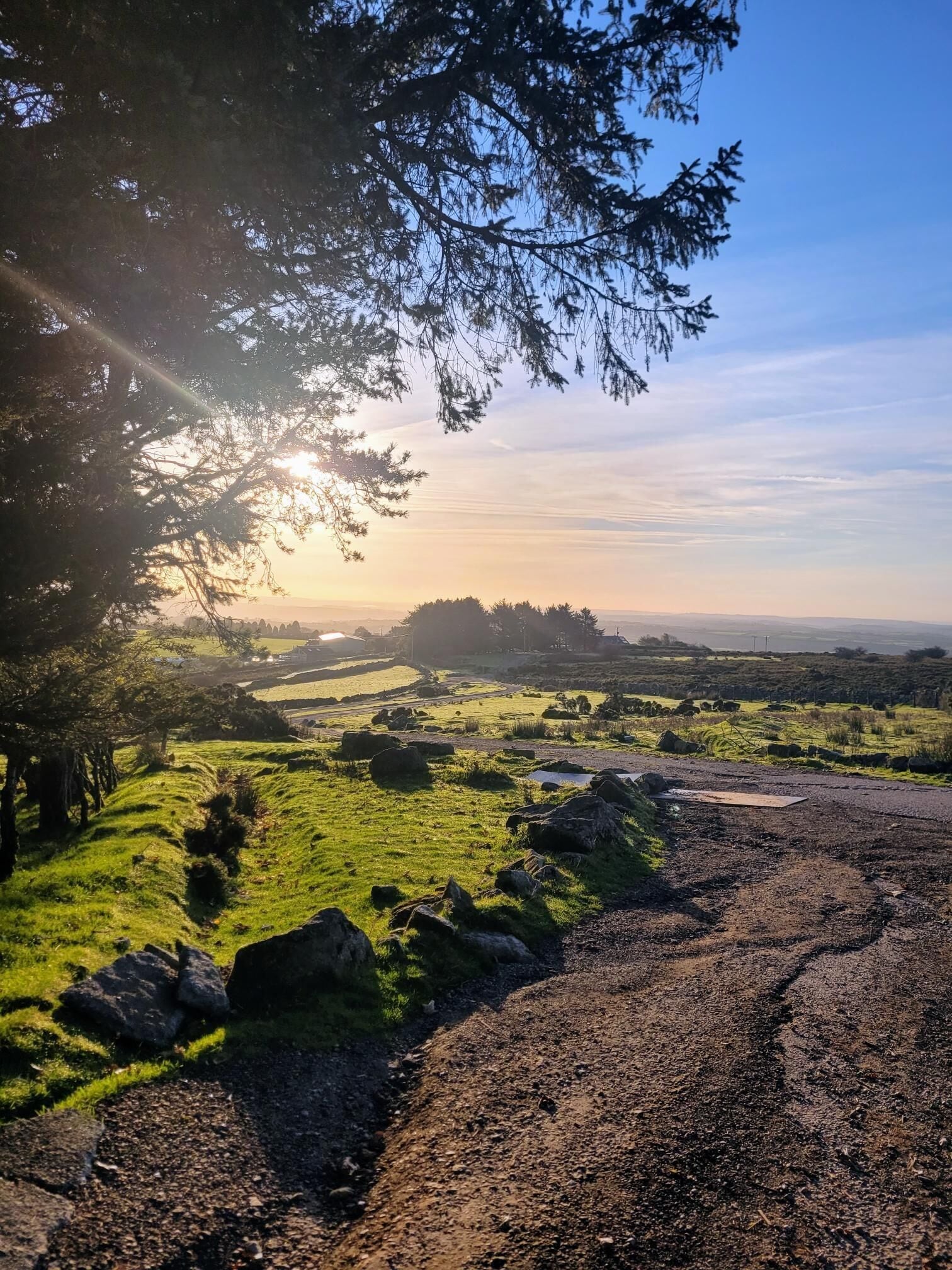 A rural landscape with a dirt path leading through green fields and scattered rocks, under a clear sky.