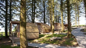 Une rangée de cabanes en bois, nichée au cœur d’une forêt, entourée d’arbres et bordée d’un chemin de gravier.