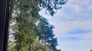 Une vue depuis une fenêtre donnant sur un paysage rural, avec des arbres, un champ herbeux et un bâtiment situé au loin.