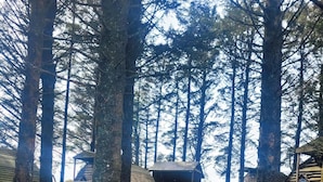 Un sentier de gravier traverse une zone boisée où se trouvent des cabanes en bois.
