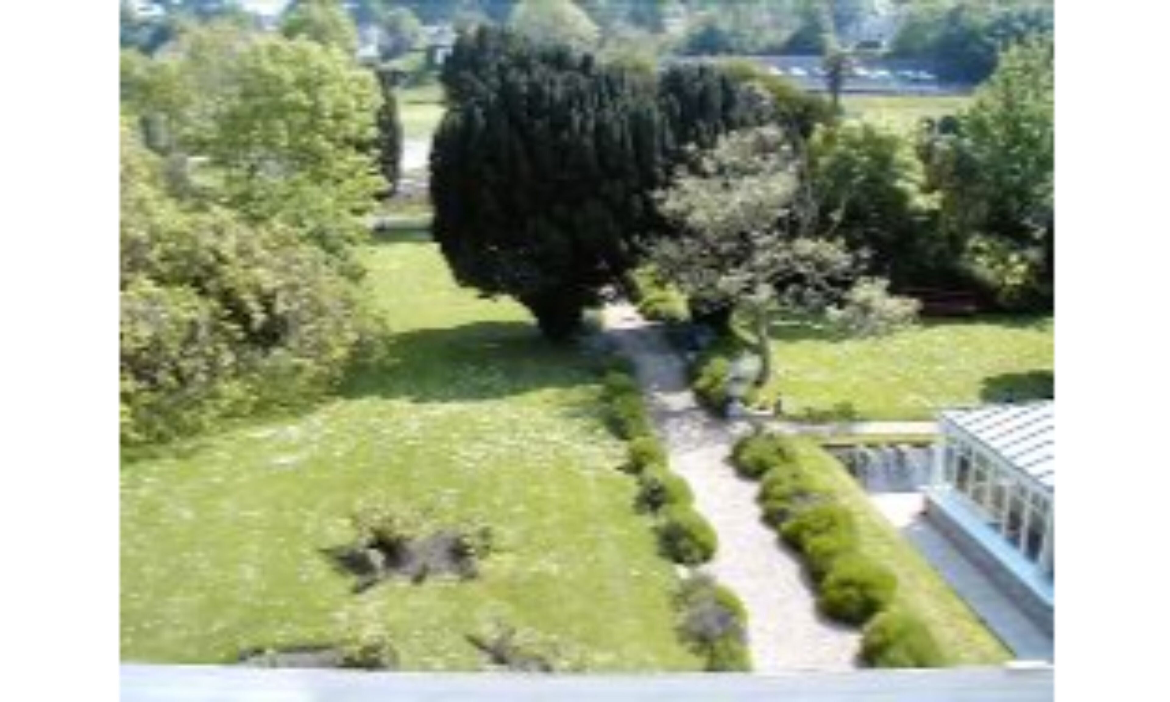 Un jardí amb diferents arbres i un camí.