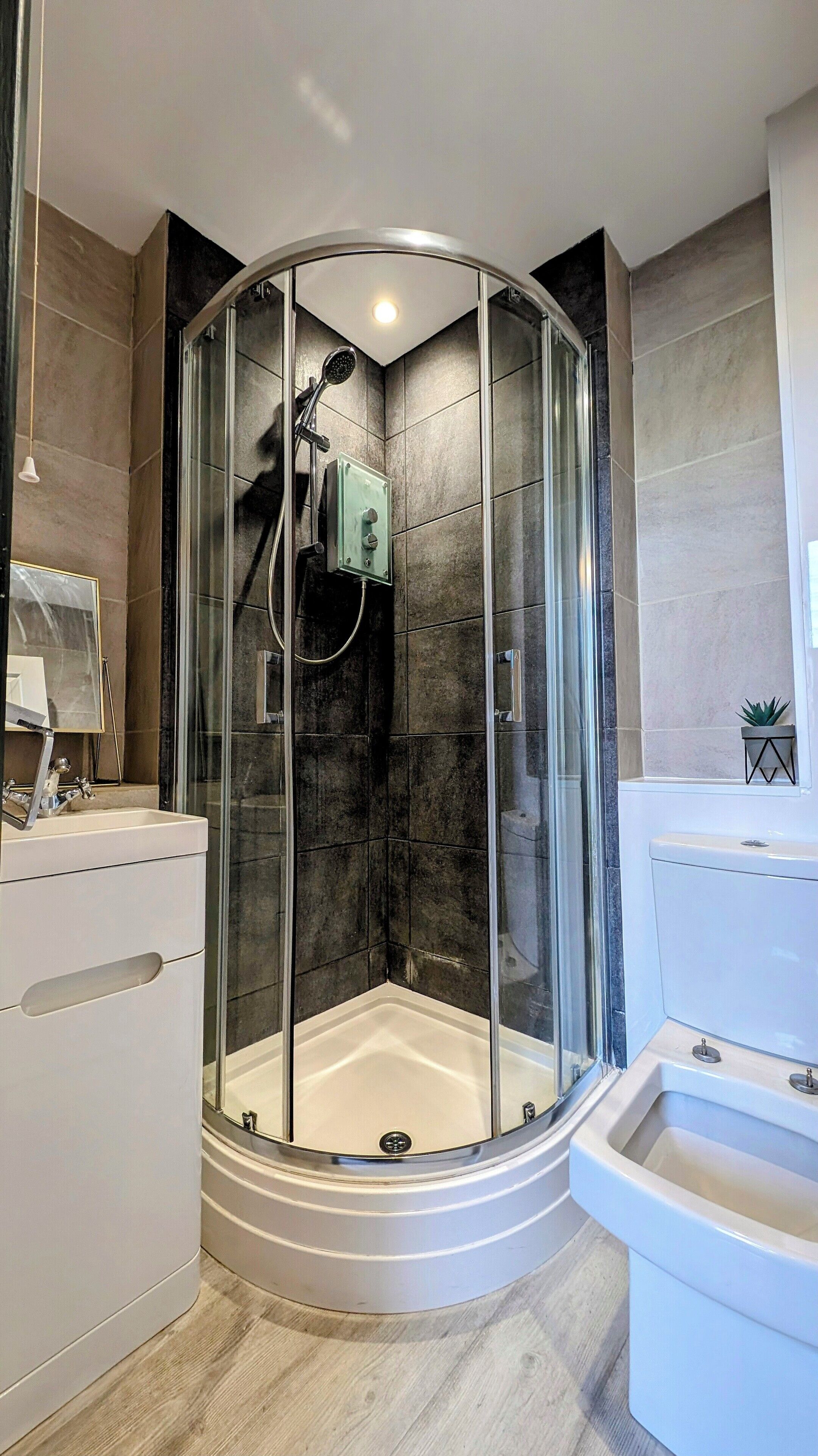 Un baño moderno con ducha de vidrio, lavamanos blanco y una pequeña planta en maceta.
