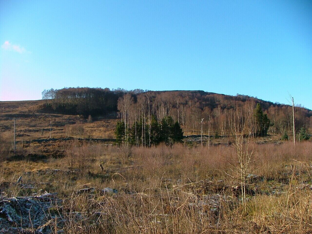A flat, open field with sparse vegetation and a distant hill.