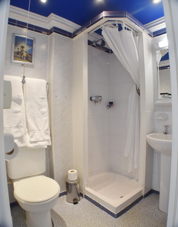 A bathroom with a shower, toilet, and sink. - The Lookout Rye (Rye)