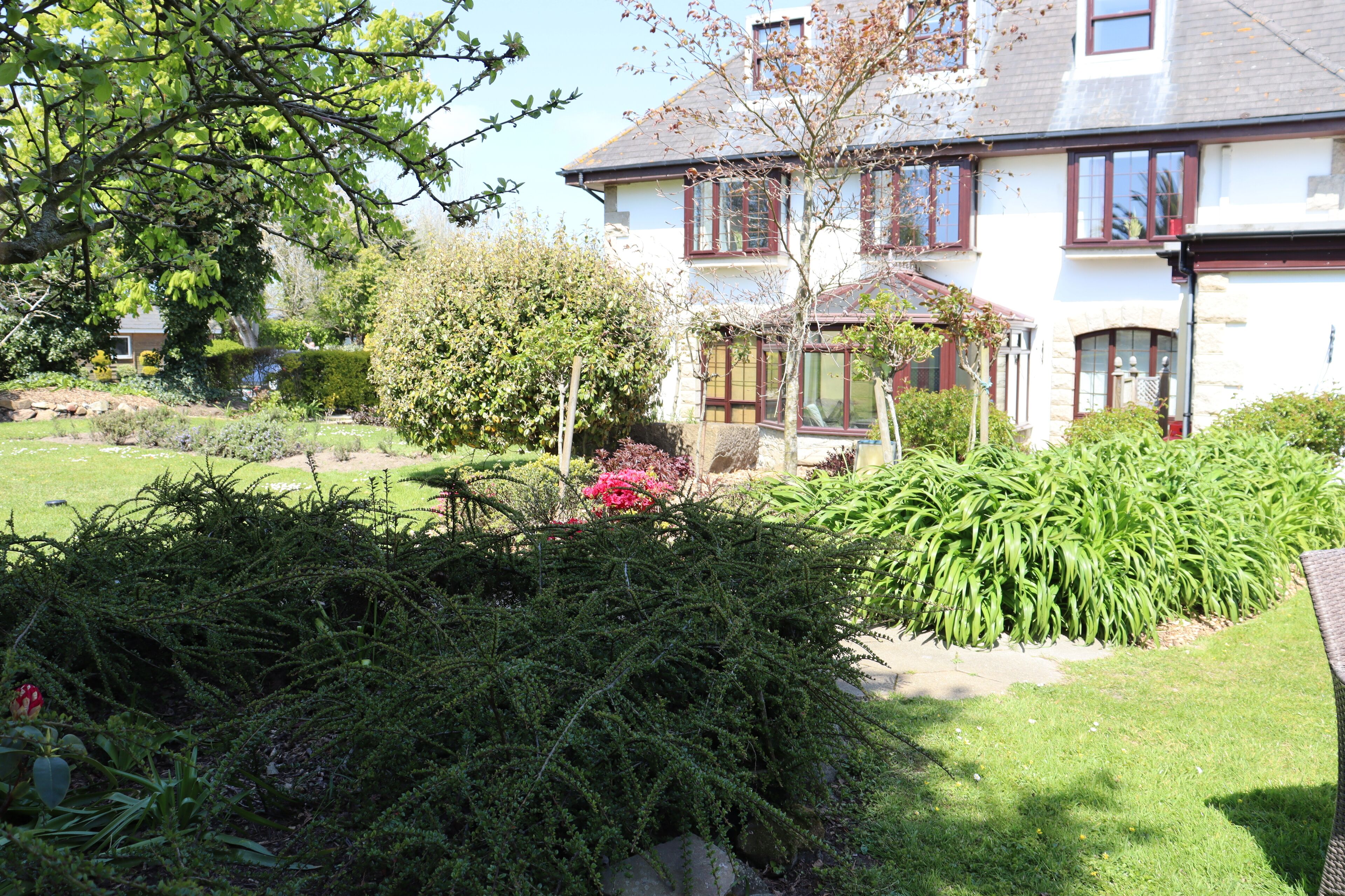 suite | view from room