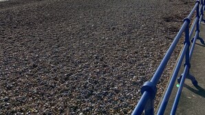 Ein Kiesstrand mit einer hölzernen Mole, die ins Wasser führt, bewölkter Himmel und Gebäude in der Ferne.