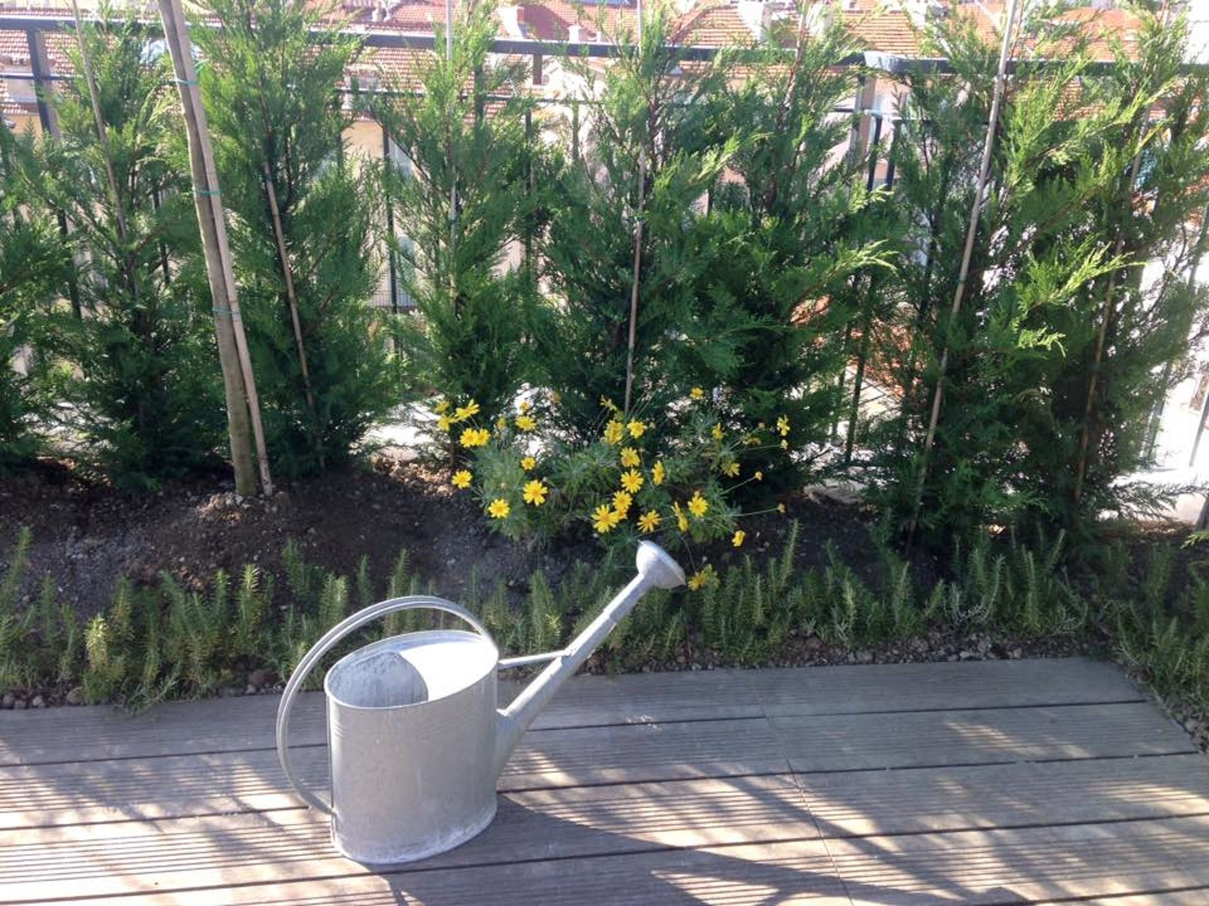 Eine Metallgießkanne auf einer Holzterrasse, im Hintergrund ein Garten.