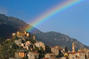 A coastal town with historic buildings and a castle on a hill.