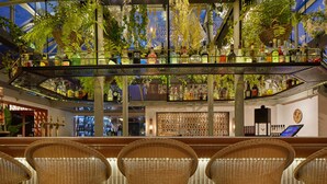 A bar area with wicker chairs, a high ceiling with hanging plants, and a variety of bottles on shelves.