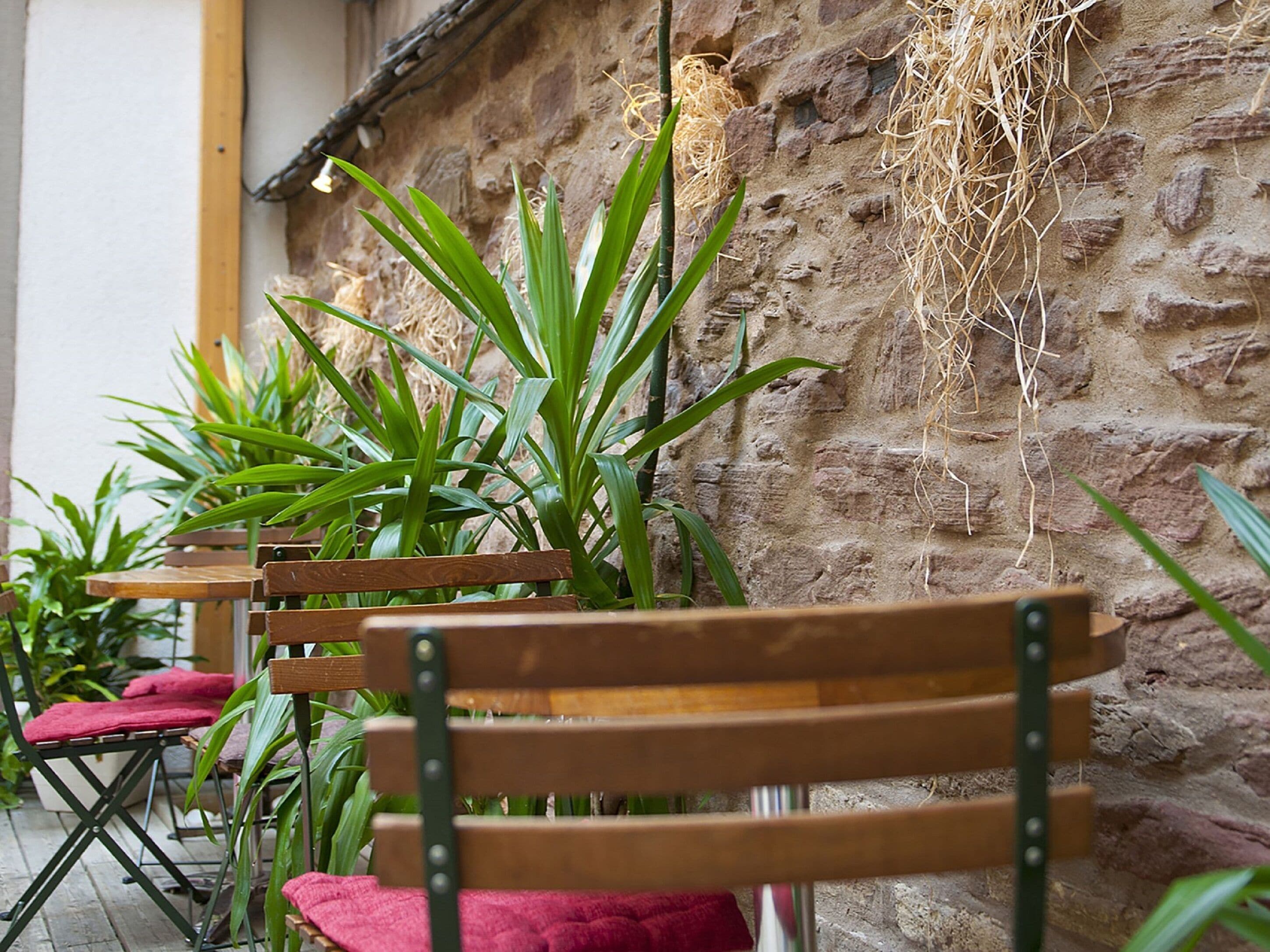 Foto - Hôtel le Grillon