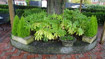 Jardín