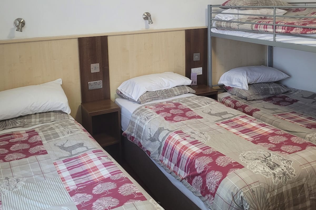 A dormitory room with bunk beds, a wooden headboard, a wall-mounted light, and a small picture of puppies.
