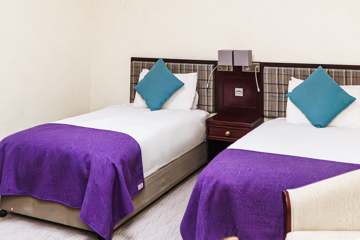Habitación de hotel con dos camas, un tragaluz, una mesita de noche y un armario.