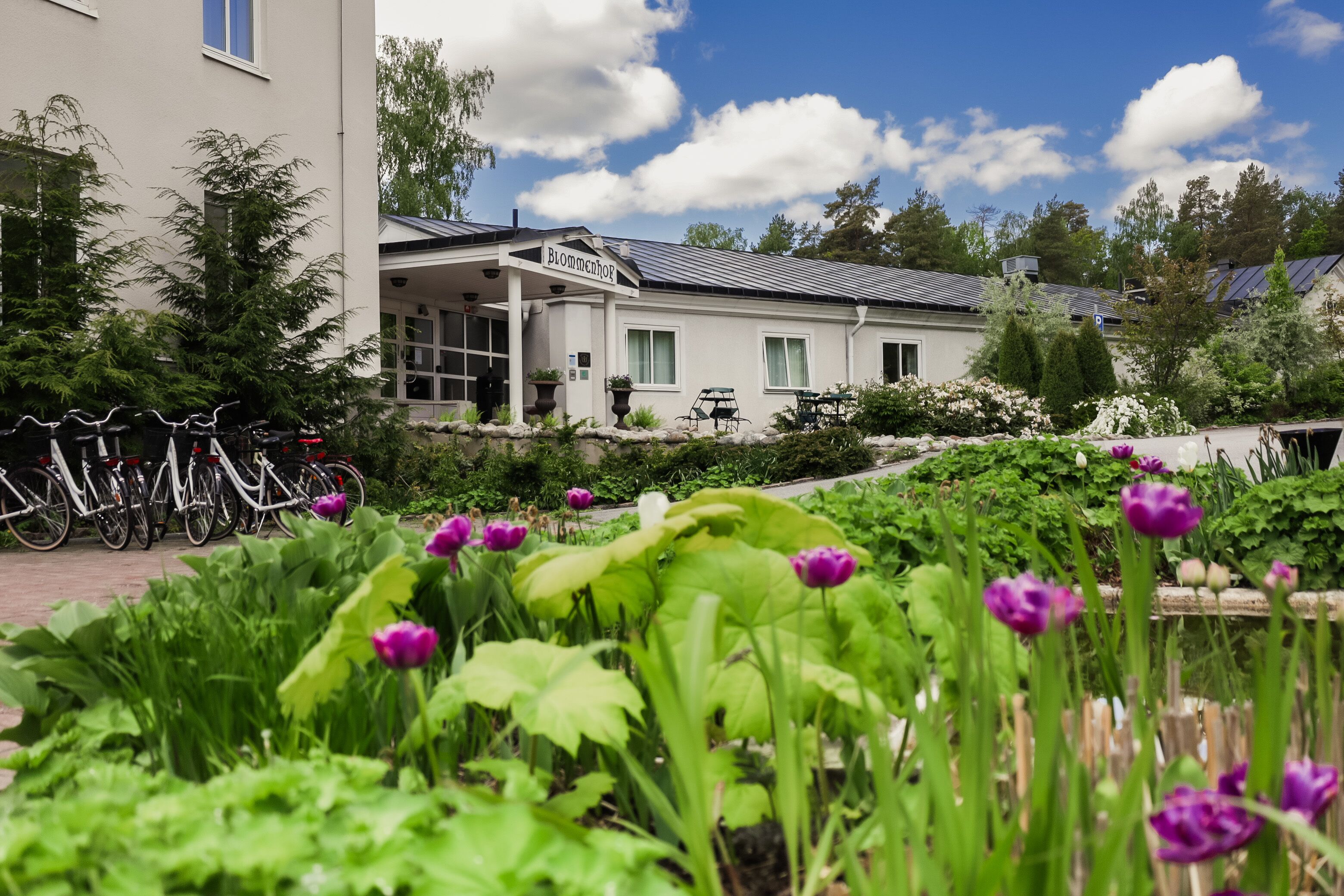 A building with a sign reading "Blomchenhof" and a garden with purple flowers in the foreground.