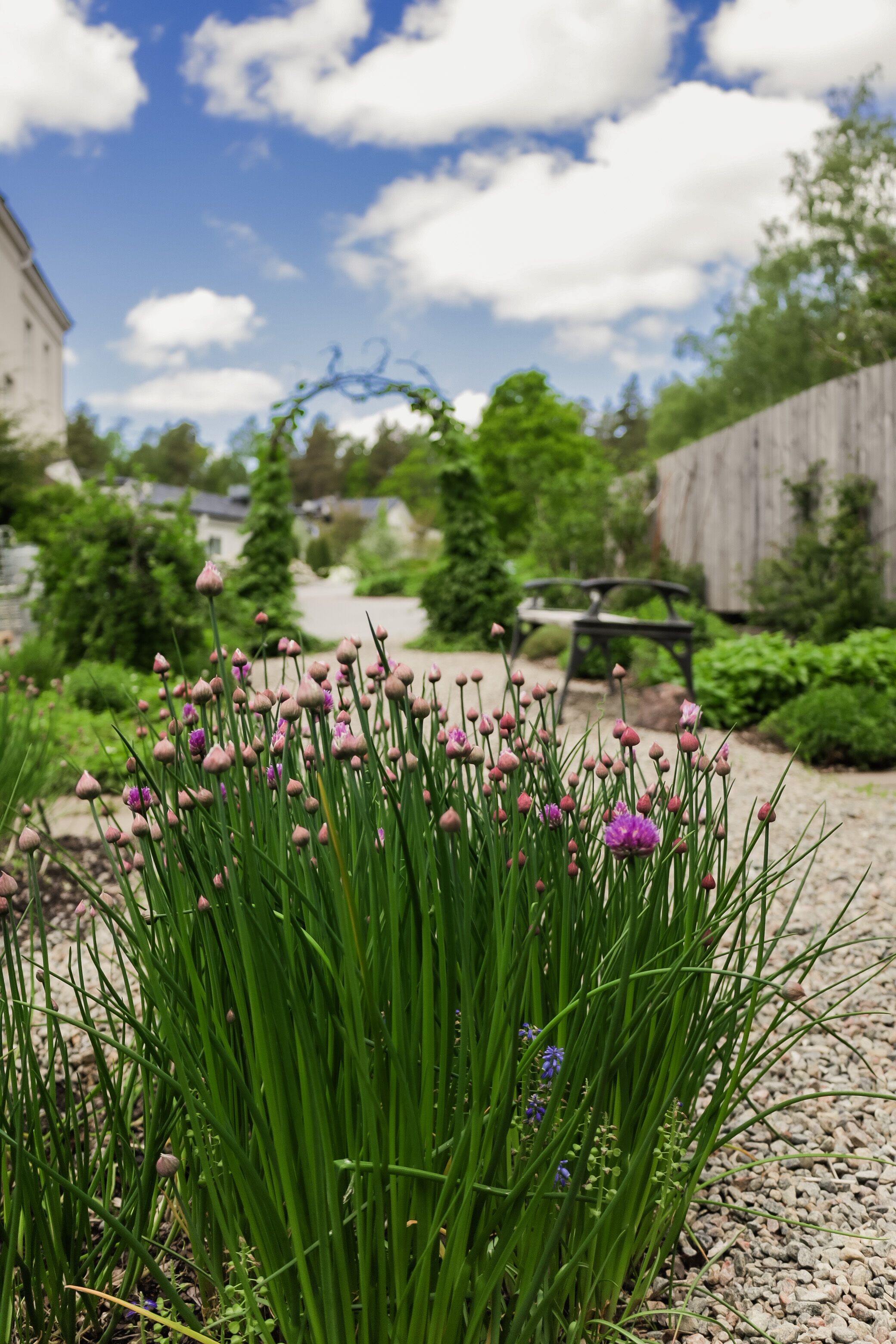 정원