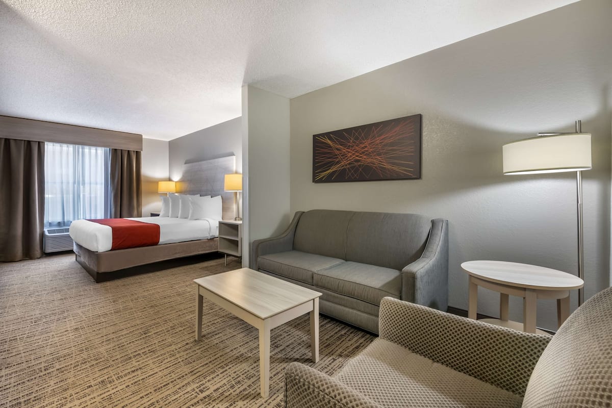 Une chambre d’hôtel avec un lit, un canapé, une petite table, une lampe et un tableau au mur.
