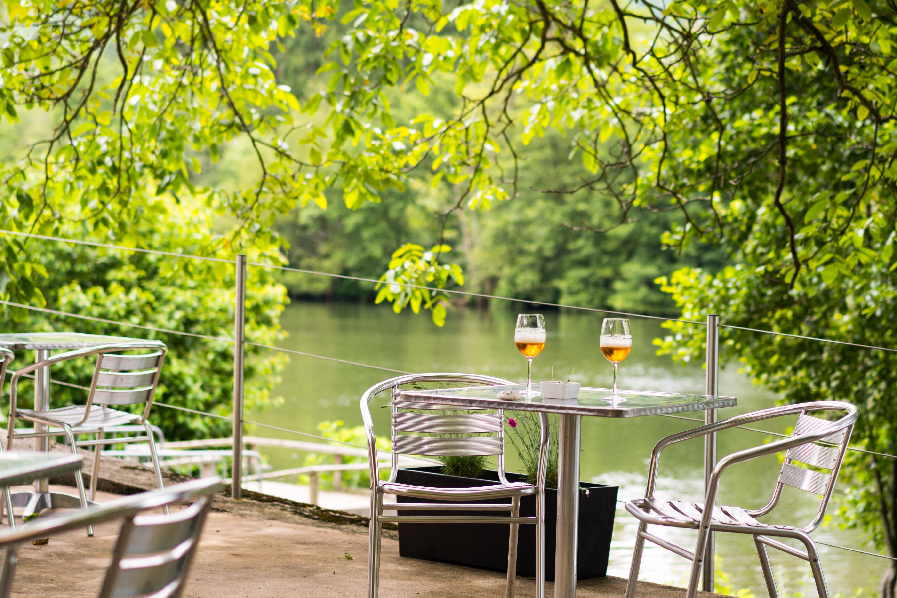 ディナーに営業 (フランス料理)