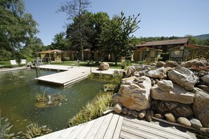 Natural pool