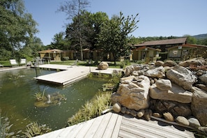 Natural pool