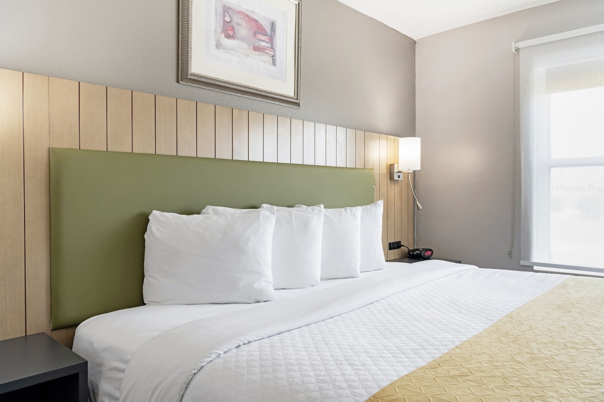 A hotel room with a green headboard, white bedding, a bedside lamp, and a framed picture on the wall.