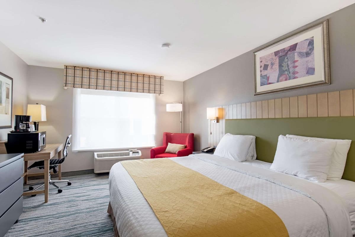 A hotel room with a bed, a desk, a chair, a window with blinds, a framed picture on the wall, and a bedside lamp.