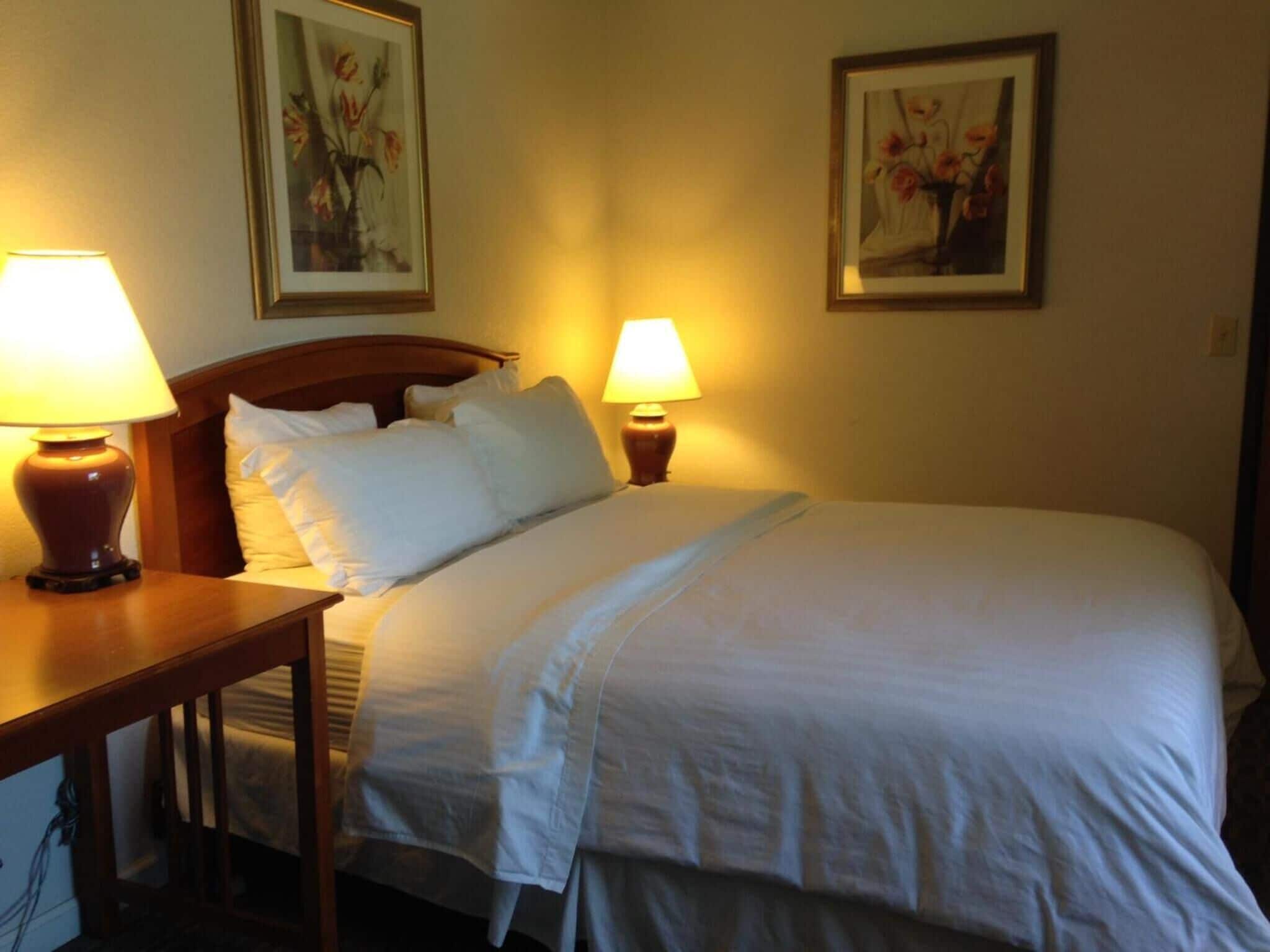 Una habitación de hotel con una cama bien hecha, dos lámparas de noche y dos cuadros con motivos florales en la pared.