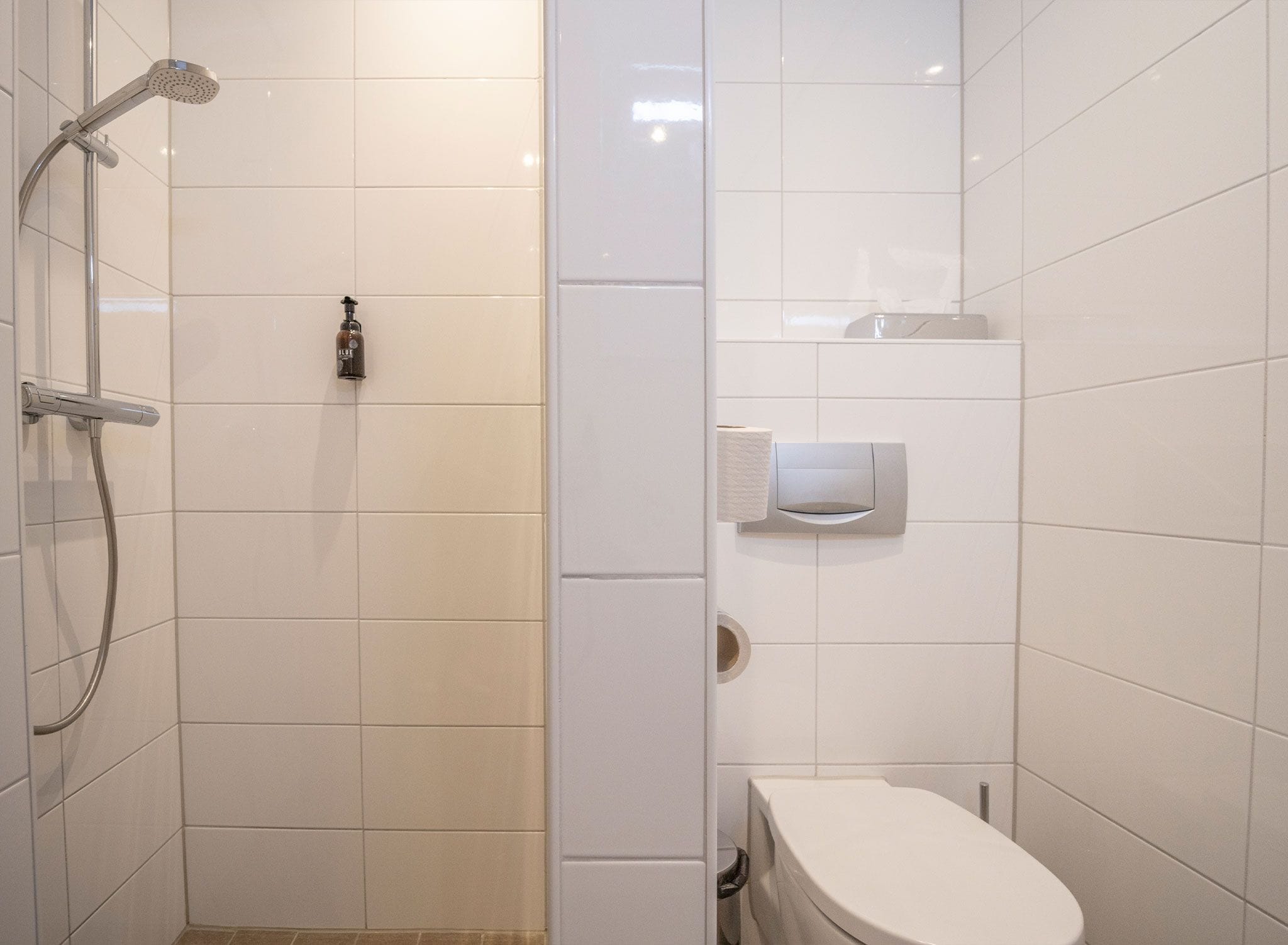 A bathroom with a shower, toilet, and a soap dispenser on the wall.