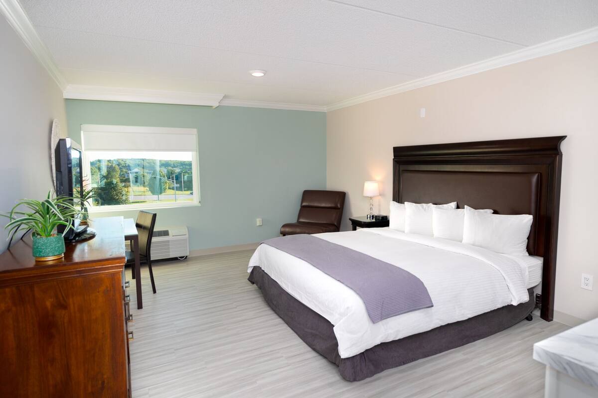 A hotel room with a large bed, a desk with a chair, a TV, and a window with a view of greenery.