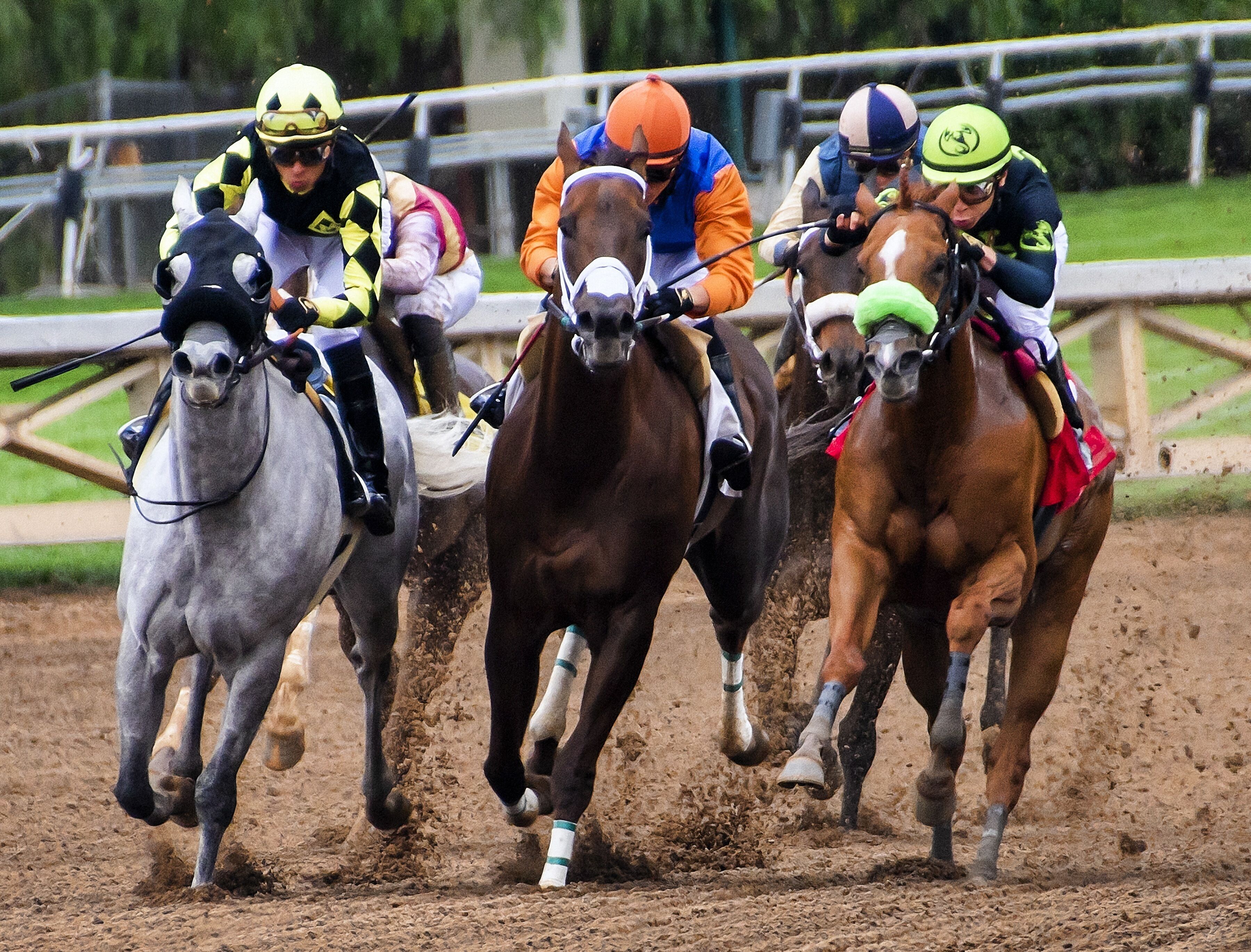 A horse race with jockeys on horses.