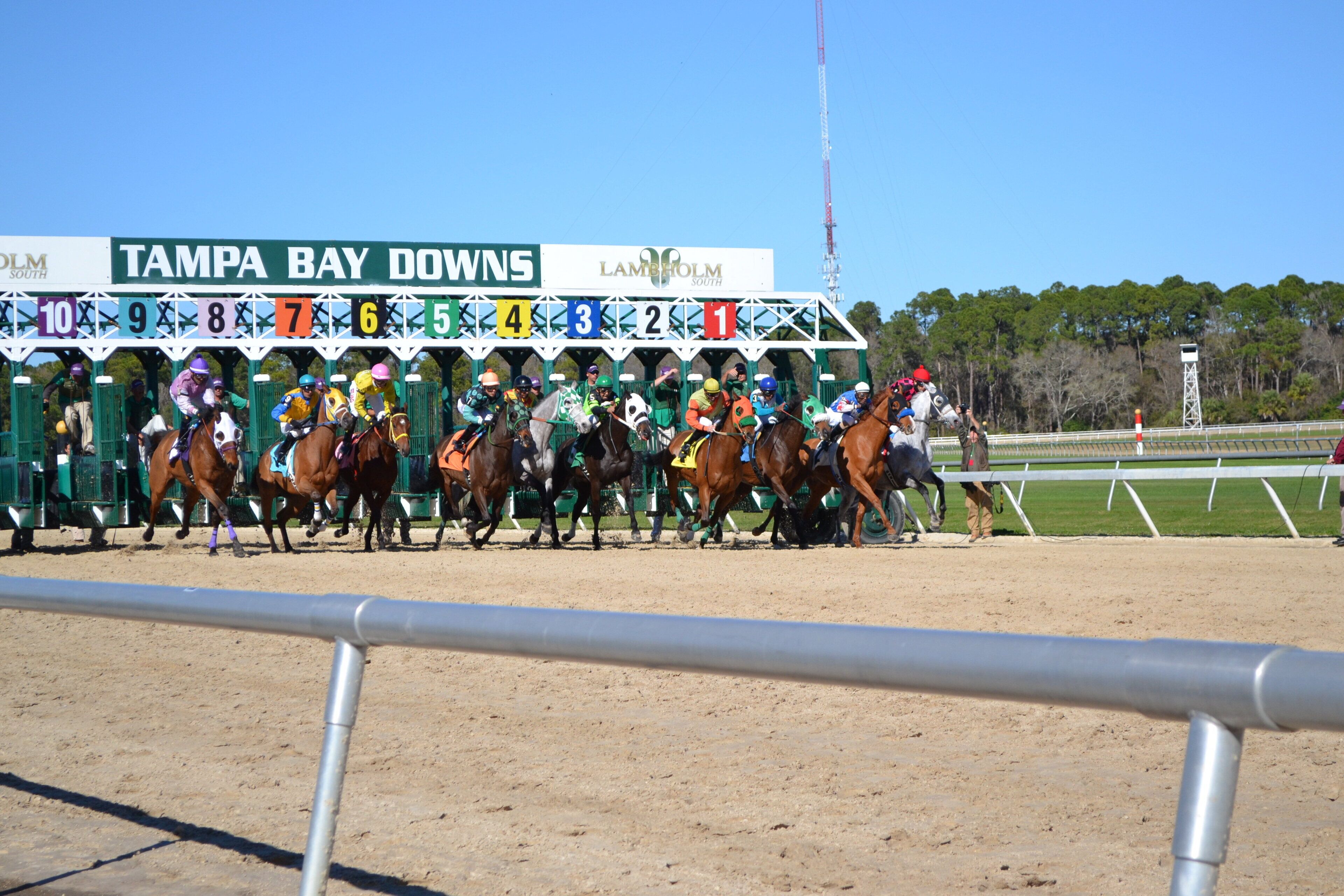 Evento de carreras de caballos con jinetes montados, con dorsalitos del 1 al 10, y una pista con una valla en primer plano.