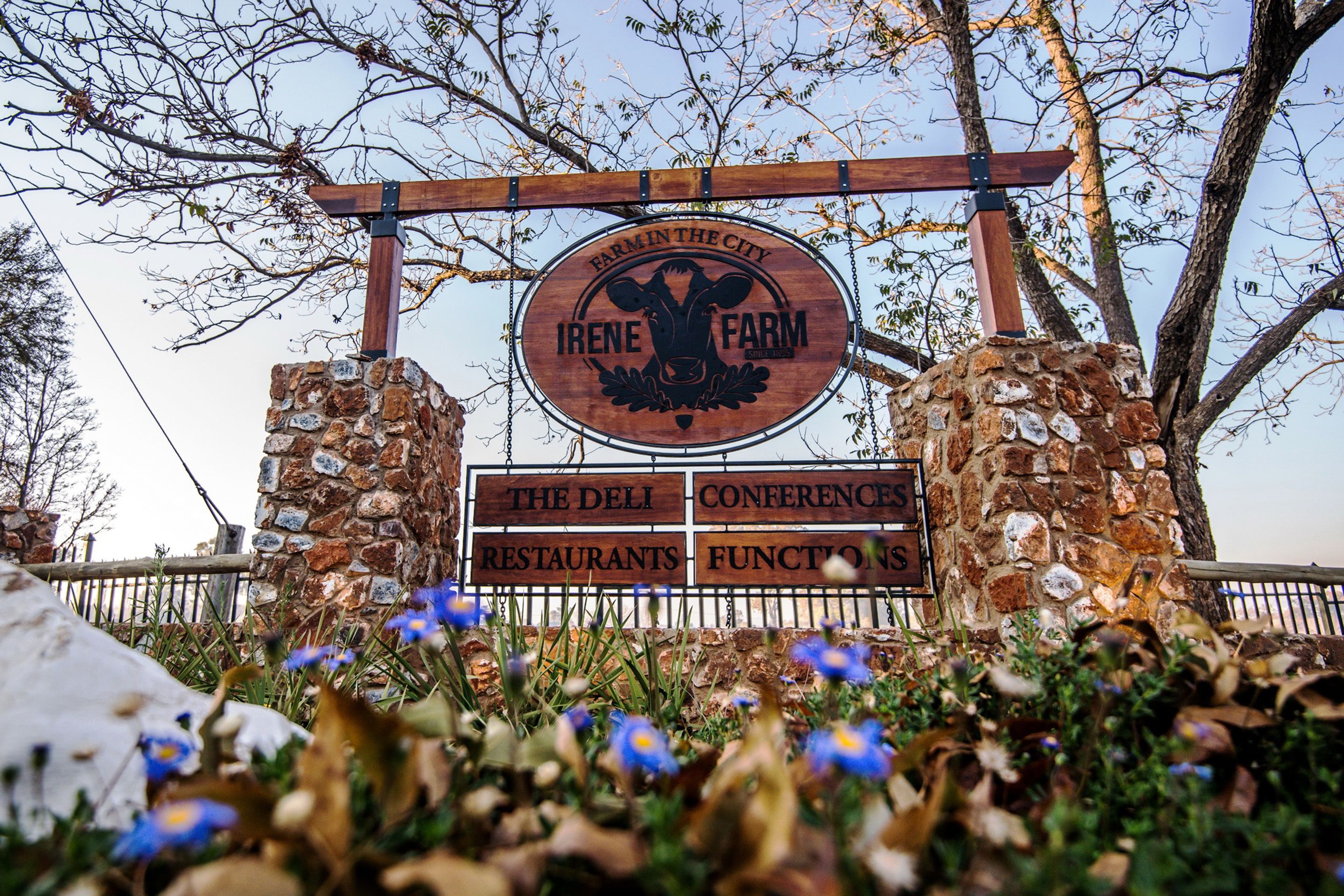 children’s activities