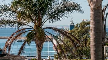 A palm tree in a grassy area with a view of the sea and a building in the background.